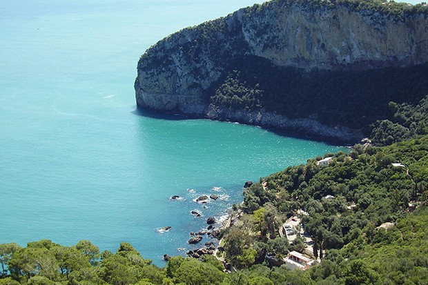 Bejaïa - ATTEINTES AU PATRIMOINE DU PARC NATIONAL DE GOURAYA: La direction dénonce un acte de “vandalisme et de sabotage”