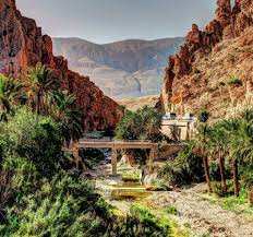 Site naturel d’El-Kantara (Biskra): Autopsie d’une agression à ciel ouvert