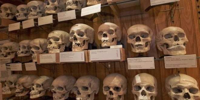 القائمة الاسمية لرفات وجماجم شهداء المقاومة الشعبية