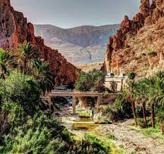 Site naturel d’El-Kantara (Biskra): Autopsie d’une agression à ciel ouvert