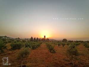 حصن المنصورة