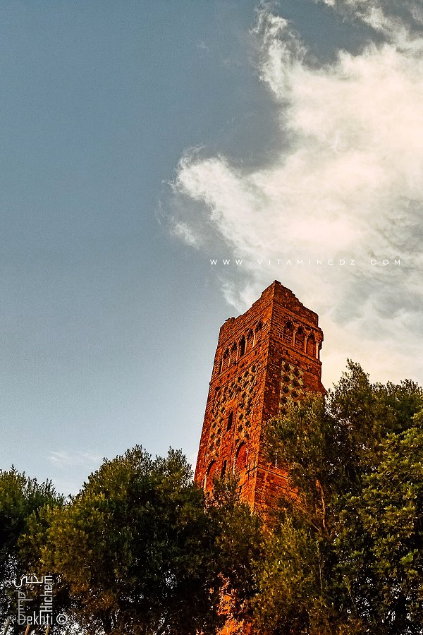 مئذنة المنصورة متحف طبيعي يكتنز تاريخ تلمسان