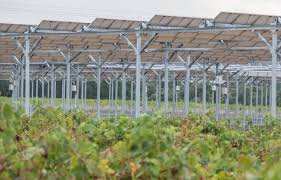 Planète (France) - L’agrivoltaïsme, ou quand les panneaux solaires se mettent au service des cultures