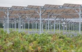 Planète (France) - L’agrivoltaïsme, ou quand les panneaux solaires se mettent au service des cultures