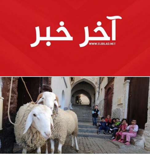 عاجل لجنة الفتوى الوزارية تعلن عن فتوى ذبح الأضحية هذا العام في ظل تفشي وباء كورونا