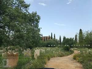 LE CIMETIÈRE DE TLEMCEN  SIDI-SENOUCI .