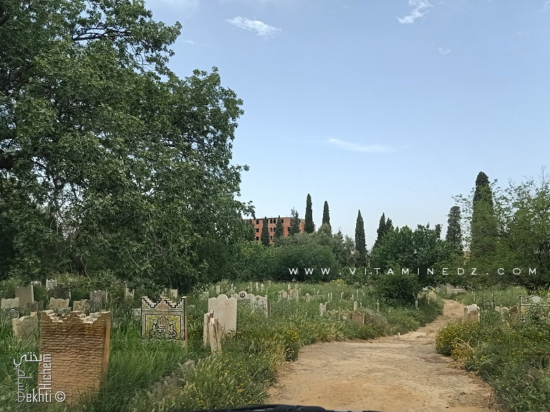 LE CIMETIÈRE DE TLEMCEN 