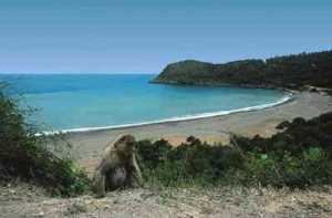 Histoire de Jijel ex Djidjelli ex Igilgilli