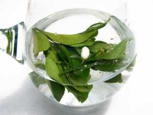 L'Eau de Fleurs d'Oranger