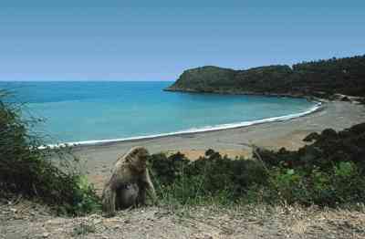 Histoire de Jijel ex Djidjelli ex Igilgilli