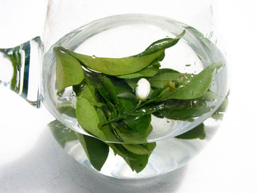 L'Eau de Fleurs d'Oranger