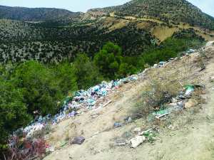 Forêt de Fergoug à Mascara: Alerte à la pollution !