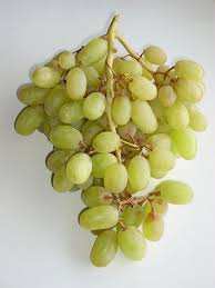 Naciria (Boumerdès) - Raisin de table: Les viticulteurs peinent à écouler leur récolte