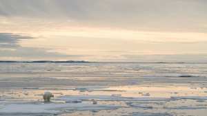 Planète - Arctique: record absolu de chaleur dans le Svalbard norvégien