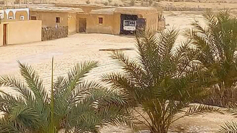 تعريف بقرية بقوزة