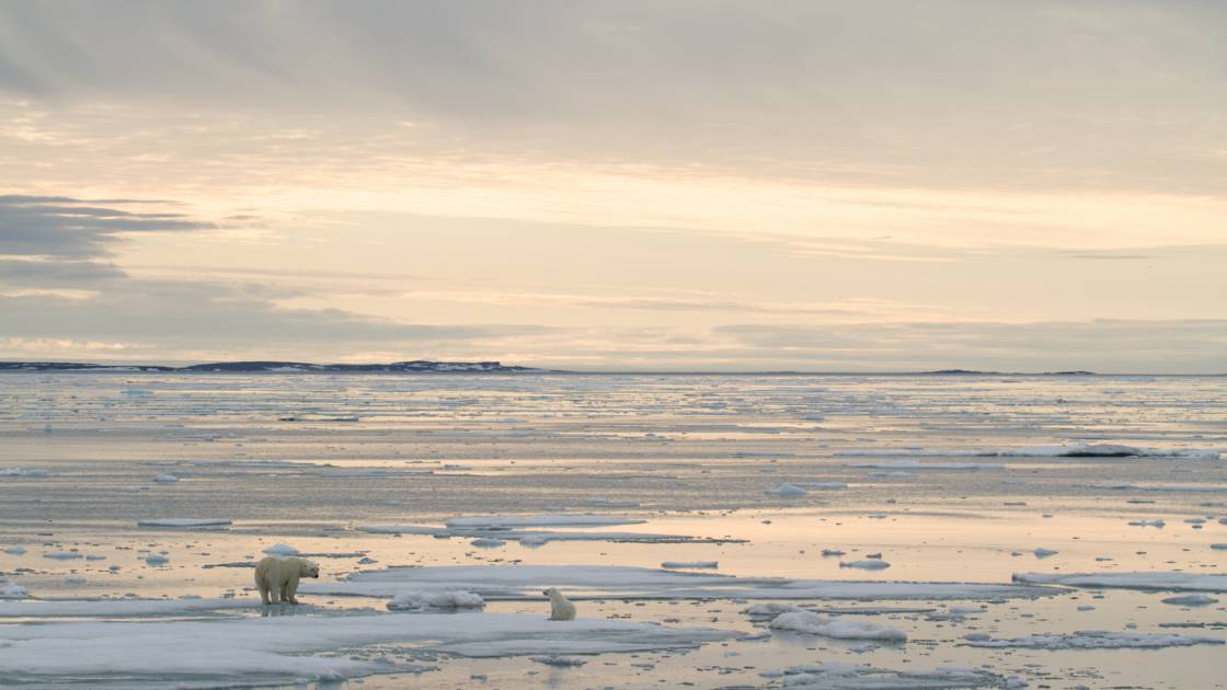 Planète - Arctique: record absolu de chaleur dans le Svalbard norvégien