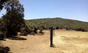 La réserve de chasse de Moutas: espace écologique pour la protection des espèces animales