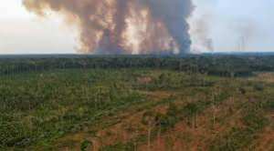 Planète - Le Brésil s’engage à «freiner la déforestation»