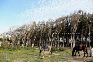 Découvrez la Wilaya de Boumerdes