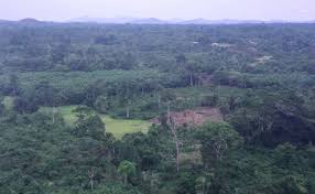 Planète (Afrique) - Côte d'Ivoire: une 