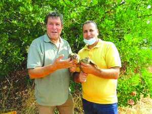 Protection de la faune dans la wilaya de Tizi Ouzou (Boubhir): à tire-d’aile