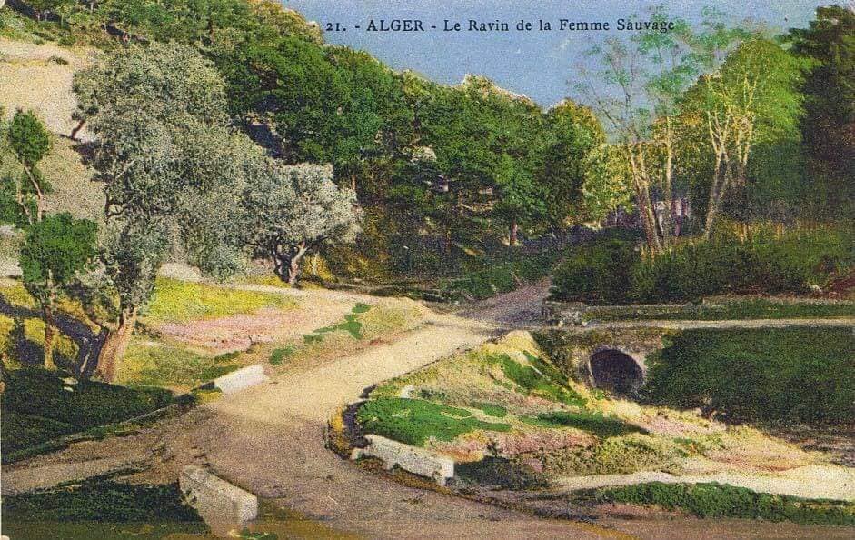 Oued Kniss ou le Ravin de la Femme Sauvage à Alger - الغابة تاع واد كنيس