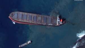 Planète - Des coiffeurs de La Réunion récupèrent des cheveux pour aider Maurice à lutter contre la marée noire