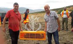 BOUBHIR (Ifigha/TIZI OUZOU) - Troisième lâcher de 500 perdrix Gambra