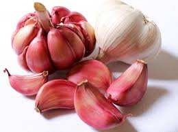 Les bienfaits de l'ail sur la santé