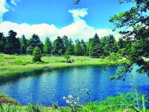 Akfadou (Béjaïa) - Confinement. Lac Noir «Agoulmim Aberkan»: La trêve des pollueurs