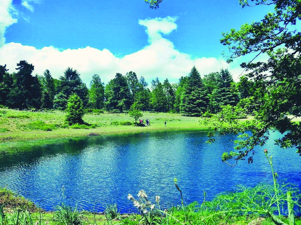 Akfadou (Béjaïa) - Confinement. Lac Noir «Agoulmim Aberkan»: La trêve des pollueurs