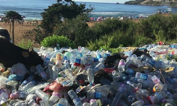 Algérie - LANCEMENT DE L’OPÉRATION “UNE BOUTEILLE À LA TERRE !” Mobilisation pour le recyclage et l’environnement