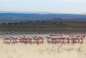 La sebkha d'Oran....!