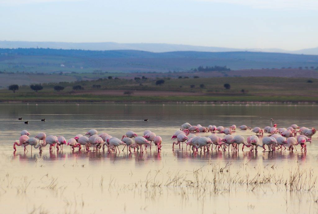 La sebkha d'Oran....!