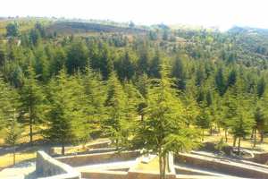 PARC RÉCRÉATIF DE BEN CHICAO (MÉDÉA): Un patrimoine à l’abandon