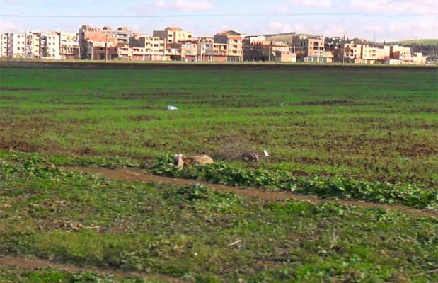 Mila - Des habitants de Tadjenanet s’insurgent contre le bradage du foncier