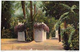 DÉCONFINEMENT À BISKRA: Réouverture des jardins publics