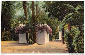 DÉCONFINEMENT À BISKRA: Réouverture des jardins publics