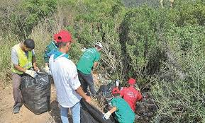 Algérie - Forêts de la capitale: Collecte de 130 tonnes de déchets