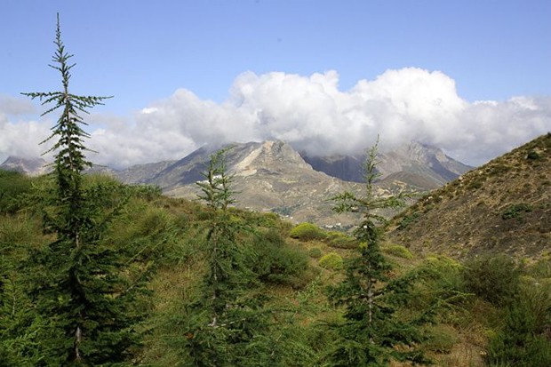 Algérie - ILS RÉCLAMENT PLUS DE MOYENS ET LE RENFORCEMENT DE LA SÉCURITÉ: Les forestiers organisent une journée de protestation à Béjaïa