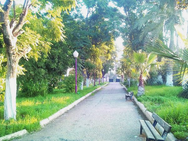 Chlef - L’ancien jardin public dans un état lamentable