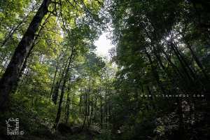 Jijel : A la découverte du Parc National de Taza