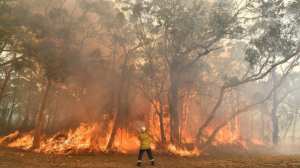 Planète - Incendies de forêt et réchauffement climatique, le cycle de feu