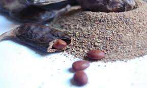 Tlemcen - Poudre de Caroube: la Sarl Boublenza s’intéresse au marché local