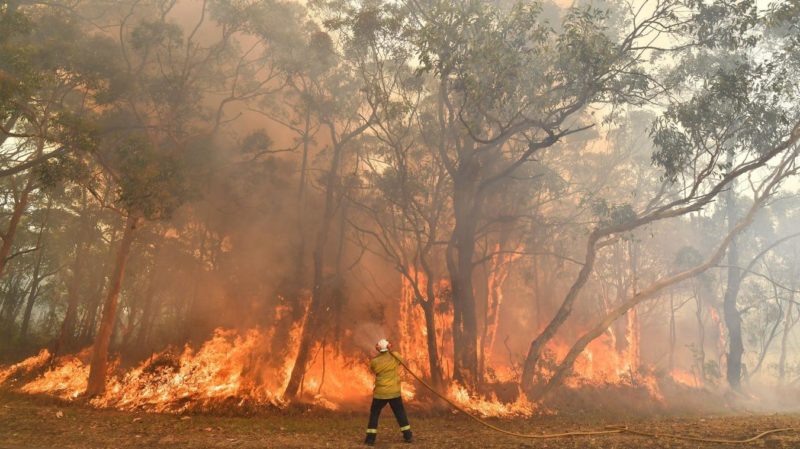 Planète - Incendies de forêt et réchauffement climatique, le cycle de feu