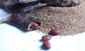 Tlemcen - Poudre de Caroube: la Sarl Boublenza s’intéresse au marché local