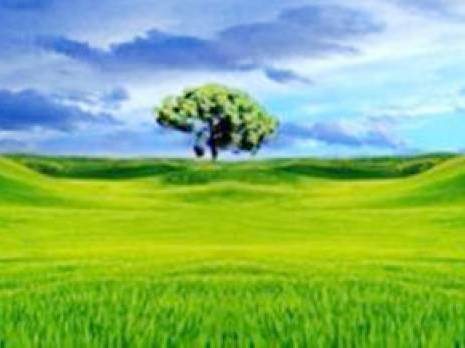 Environnement : quelle politique maghrébine pour une meilleure sécurité'                                    Tiaret : les autres articles