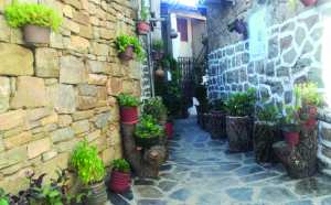 Reportage - Aguemoune Nath Amar/Taourit Ighil (Béjaïa): Quand la force des jeunes rencontre la sagesse des anciens