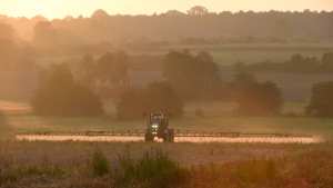 Planète - En Europe, le nombre d'habitats naturels en mauvais état dépasse les 80%