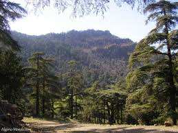 Theniet El Had (Tissemsilt) - Randonnée au Parc national de Theniet El Had: Au paradis des cèdres